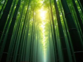 Lush green bamboo forest illuminated by soft sunlight during early morning hours