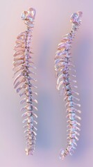 Human spine in three views, side, front, and back, detailed illustration of vertebrae, soft gradient background, professional medical artwork precision.