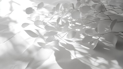 Sunlight casts shadows of delicate branches and leaves on a white surface.
