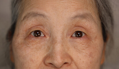 Close up of female body eyes