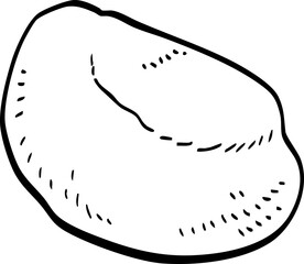 hand drawn vector of pebble illustration.