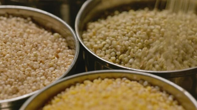 filling brown top millet in steel bowl with foxtail millet and little millet for storage, 4k, stable shot