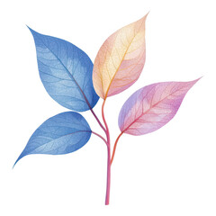 Obraz premium Vibrant colorful leaves nature illustration botanical art studio abstract aesthetic appeal