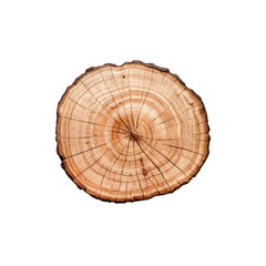 Tree Rings: A cross-section of a tree trunk, revealing its intricate growth rings.  A detailed texture study in natural wood grain. 