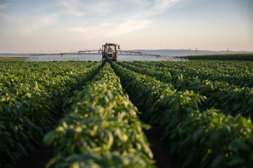 Tractor spraying pesticides on vegetable field with sprayer © Vesna