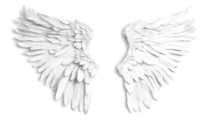 Obraz premium one single pair of angel wings isolated on white background
