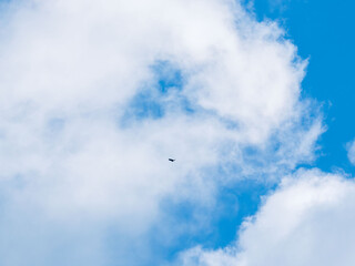 1月の青空と白い雲27
