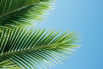 Vibrant green palm leaves create a tropical feel against a serene blue sky, evoking a sense of tranquility and escape