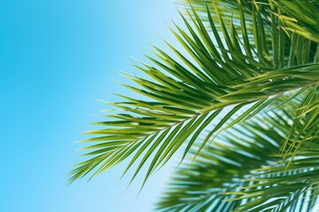Naklejka premium Lush green palm leaves create a tropical feel against a clear blue sky, evoking a sense of summer vacation