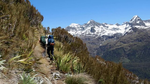 Hikers walking on the Routeburn Track in Otago region in the South Island of New Zealand