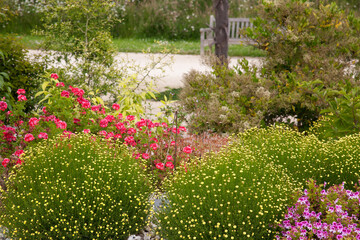 Beautiful garden border in a park in Europe
