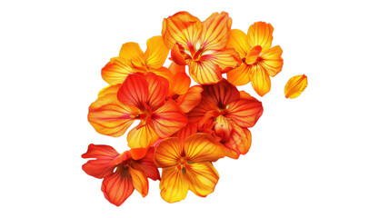 Naklejka premium Heap of Saffron Isolated on White Background for Culinary Use and Decoration