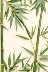 Fototapeta premium A close-up of bamboo stalks and leaves against a neutral background.