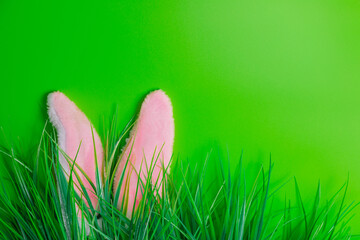 Bunny ears stick out from decorative grass. Christian poster, spring greeting card, event banner. Bright green background, flat lay, top view, copy space