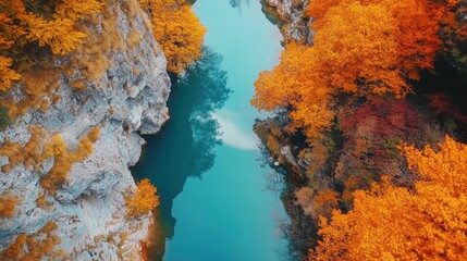 Autumnal River Gorge: Aerial View of a Serene Autumn Landscape