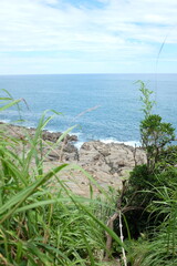 sea with rocks and trees in the foreground