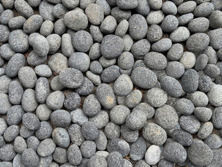 Grey natural pebbles or pebble stones as decorative material on landscape garden or park. Pebbles are good choice for quartz decoration in gardening.