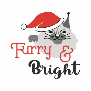 Furry & Bright. Lettering design with cat character and festive Christmas elements.