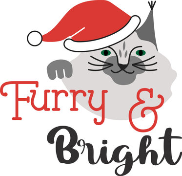 Furry & Bright. Lettering design with cat character and festive Christmas elements.