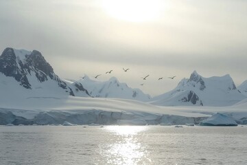 A flock of arctic terns soaring through the midnight sun over the North Pole.