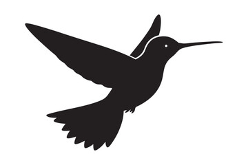 Hummingbird silhouette vector illustration on whit background.