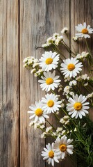 Fototapeta premium Bouquet of chamomile flowers on a wooden background
