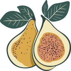 Illustration of Sliced Pear
