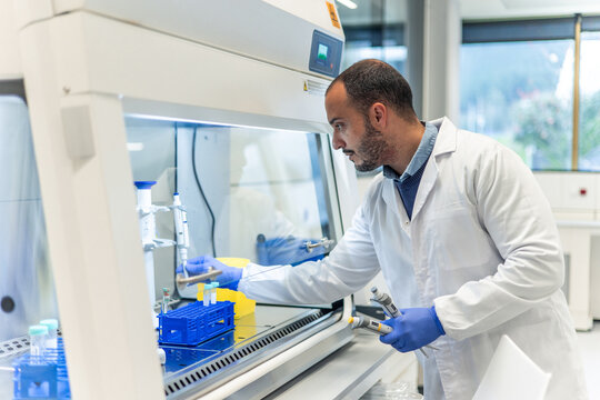 Scientist working with test tubes and multichannel pipette in laboratory fume hood - Powered by Adobe