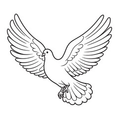 Pigeon line art modern vector Design | black and white drawing of a Pigeon bird
