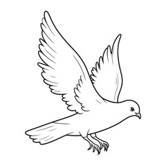Obraz premium Pigeon line art modern vector Design | black and white drawing of a Pigeon bird