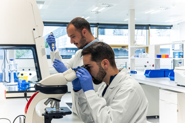 Obraz premium Scientists working with microscope and micropipette in laboratory