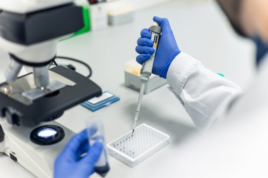 Scientist using micropipette and microplate near microscope in laboratory