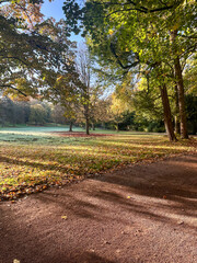 autumn in the park
