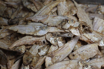 Fresh salted fish in Indonesian traditional market, small fish dried in salt. Dried fish is full of calcium for healthy bones. Assorted small dried fish in market. Dried fish stored for selling.
