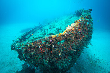 bow of the wreck