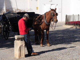 Ein Kutscher wartet mit seinem Pferd vor seiner offenen Kutsche auf Touristen in Ronda Spanien