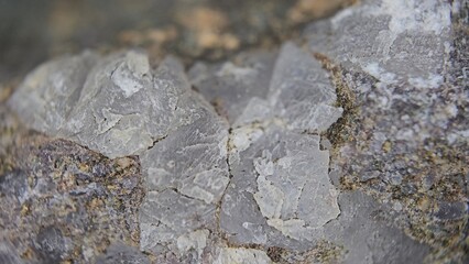 macro photography calcite in a vein