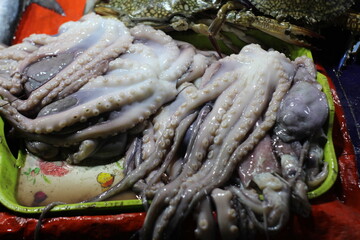 Fresh octopus for sale in Fish Market. A close-up image of freshly prepared squid bodies and tentacles for sale. 