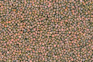 grain buckwheat, a food product is porridge. Background texture
