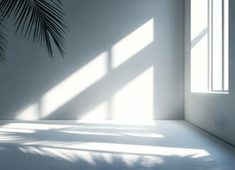 Obraz premium Minimalist Sunlit Room with Leaf Shadows and White Walls Creating a Serene Atmosphere