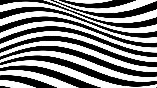 Motion background with moving black and white wave lines (1920x1080 30fps 12s).