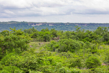Fototapeta premium Pha Taem National Park, Ubon Ratchathani, Mekong River, see prehistoric paintings on the cliff, strangely shaped stone pillars and a small field of colorful flowers in late rainy season, early winter.