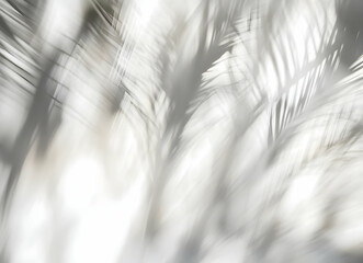 Soft Abstract Greyscale Image of Nature Featuring Blurred Leaves in Gentle Sunlight Shadows