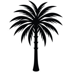 Obraz premium Generate a vector silhouette palm tree