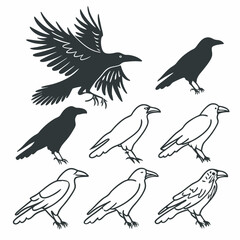 set of birds