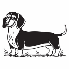 beagle puppy on a white background