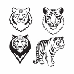 tiger on white background