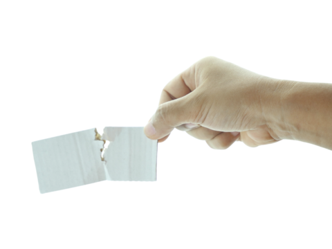 Female hand holding Shredded paper isolated on white background. - Powered by Adobe
