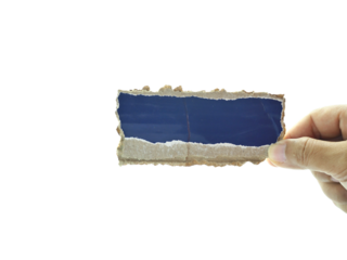 Female hand holding Shredded paper isolated on white background.