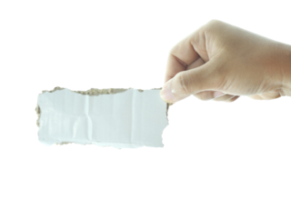 Female hand holding Shredded paper isolated on white background.